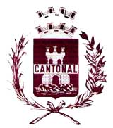 Partido Cantonal